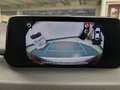 Mazda CX-5 2.2 Evolve 2wd 150cv auto Wit - thumbnail 37