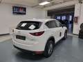 Mazda CX-5 2.2 Evolve 2wd 150cv auto Wit - thumbnail 8