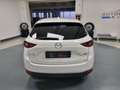 Mazda CX-5 2.2 Evolve 2wd 150cv auto Wit - thumbnail 7