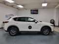 Mazda CX-5 2.2 Evolve 2wd 150cv auto Wit - thumbnail 6