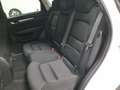 Mazda CX-5 2.2 Evolve 2wd 150cv auto Wit - thumbnail 49