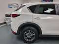 Mazda CX-5 2.2 Evolve 2wd 150cv auto Wit - thumbnail 23