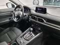 Mazda CX-5 2.2 Evolve 2wd 150cv auto Wit - thumbnail 42