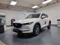 Mazda CX-5 2.2 Evolve 2wd 150cv auto Wit - thumbnail 17