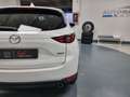 Mazda CX-5 2.2 Evolve 2wd 150cv auto Wit - thumbnail 21