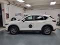 Mazda CX-5 2.2 Evolve 2wd 150cv auto Wit - thumbnail 5