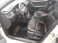 Skoda Octavia Combi 1.5 TSI ACT Style AHK Navi ACC LM Weiß - thumbnail 8