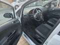 Opel Corsa Corsa IV 2010 5p 1.2 Edition (elective) 85cv Bianco - thumbnail 7