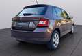Skoda Fabia COOL EDITION *GARANTIE*INSPEKTION NEU*FINANZIERUNG Braun - thumbnail 3
