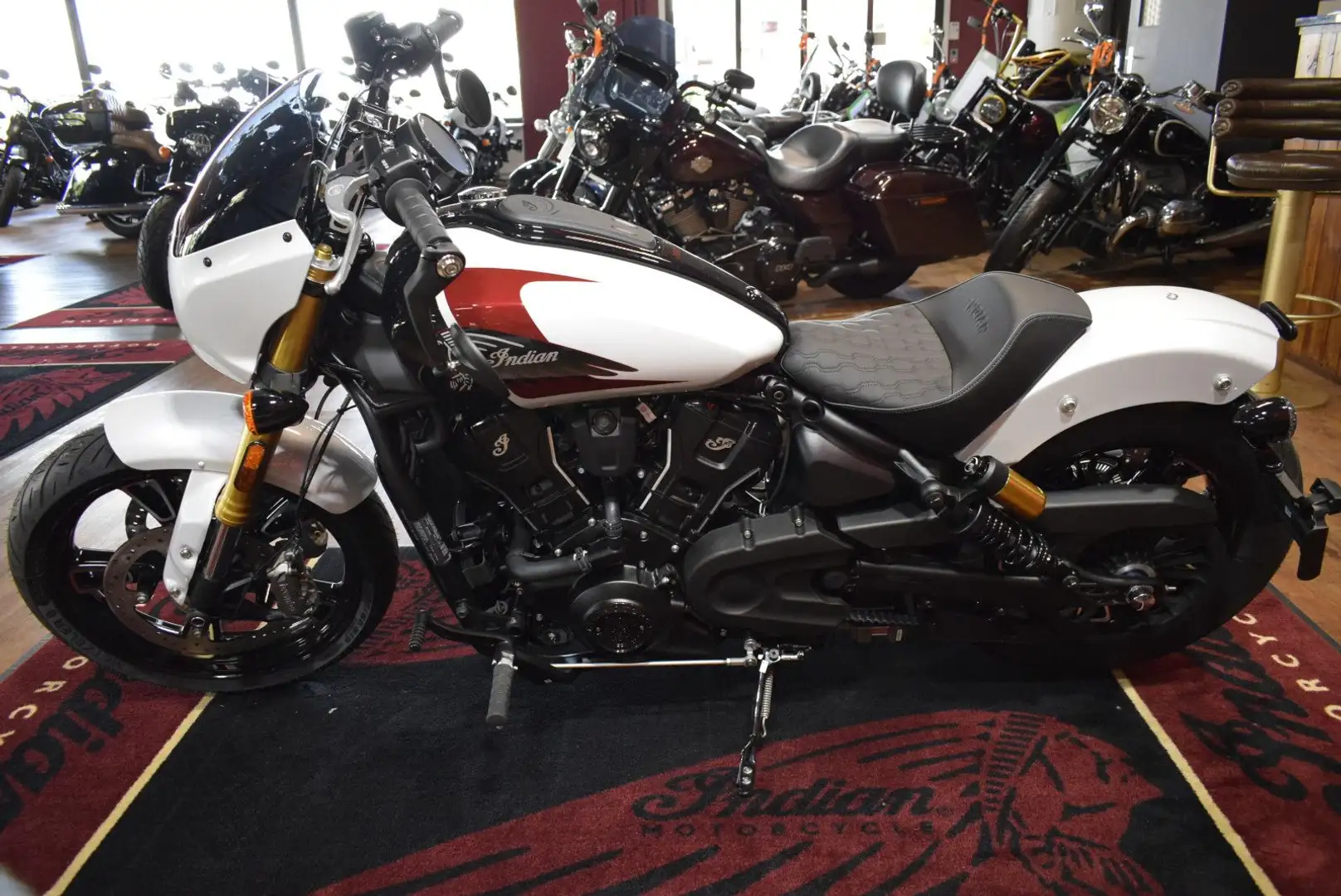 Indian Scout 101  2025  LIMITED + TECH  Navi U.V.M. Blanc - 2
