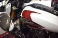 Indian Scout 101  2025  LIMITED + TECH  Navi U.V.M. Blanc - thumbnail 17