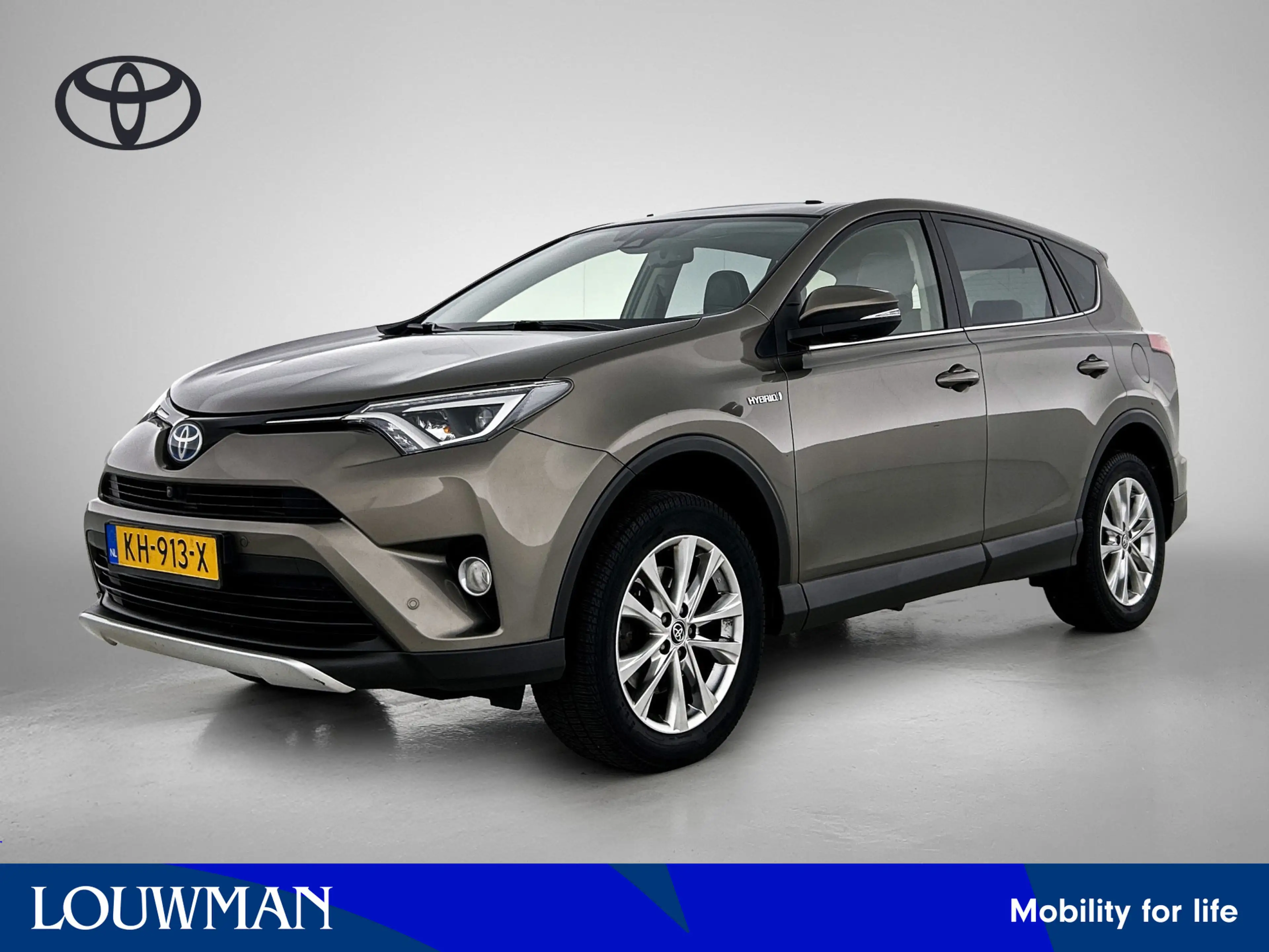 Toyota RAV 4 2.5 Hybrid AWD Executive Business | Elektrisch sch