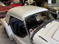 Triumph TR3 B rare version TCF Weiß - thumbnail 8