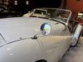 Triumph TR3 B rare version TCF Weiß - thumbnail 36