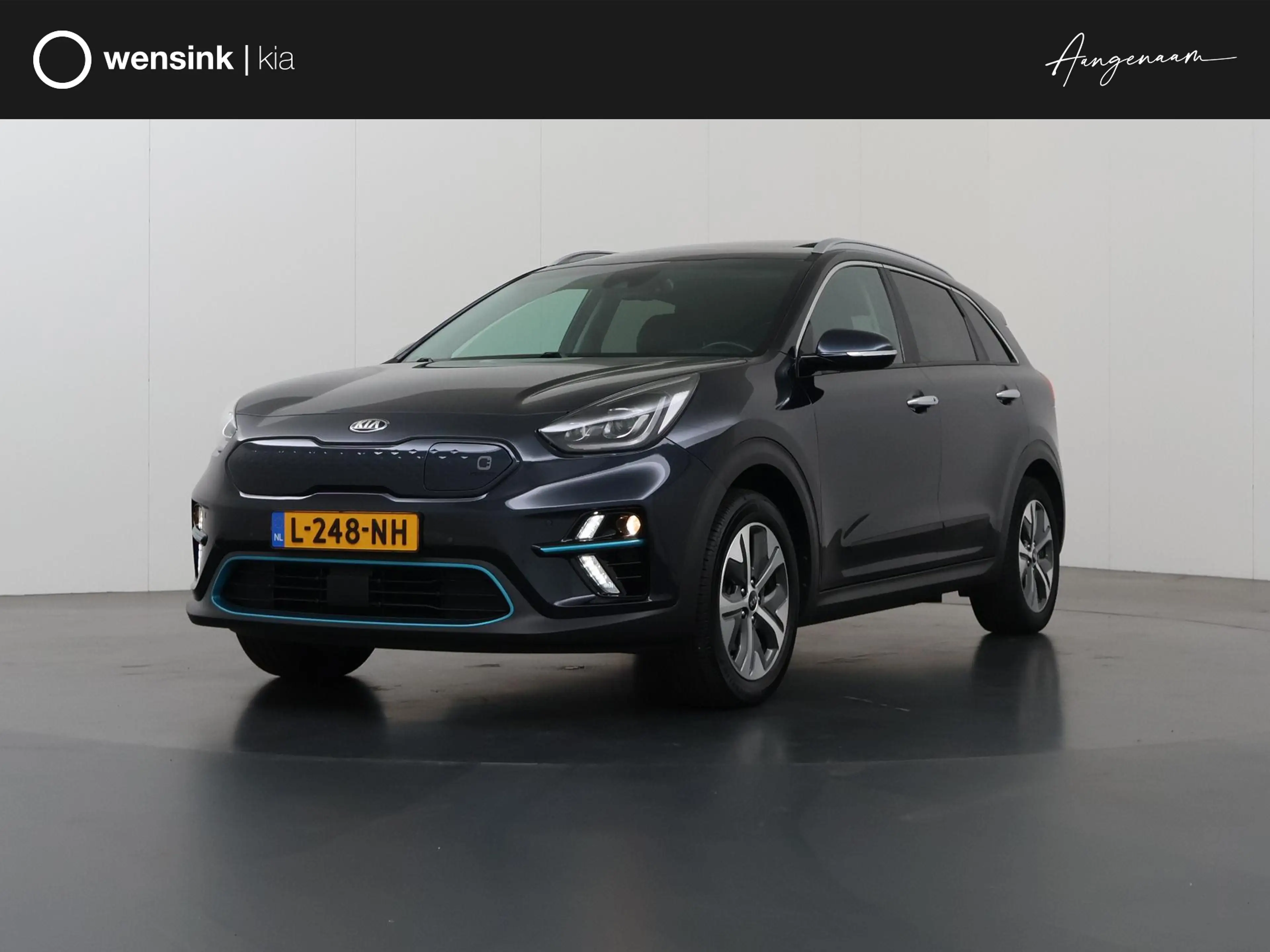 Kia e-Niro ExecutiveLine 64 kWh | SOH 94% | Schuif/Kanteldak