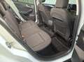 Ford Focus 1.5 EcoBlue Kombi Aut. Titanium X, ACC, Winter-Pak Weiß - thumbnail 11