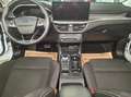 Ford Focus 1.5 EcoBlue Kombi Aut. Titanium X, ACC, Winter-Pak Weiß - thumbnail 8