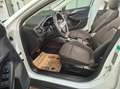 Ford Focus 1.5 EcoBlue Kombi Aut. Titanium X, ACC, Winter-Pak Weiß - thumbnail 7