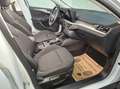Ford Focus 1.5 EcoBlue Kombi Aut. Titanium X, ACC, Winter-Pak Weiß - thumbnail 9