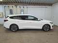 Ford Focus 1.5 EcoBlue Kombi Aut. Titanium X, ACC, Winter-Pak Weiß - thumbnail 5
