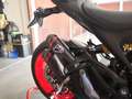 Ducati Monster 937 Grigio - thumbnail 5