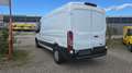 Ford Transit Transit Kasten 2,0 EcoBlue L3H2 350 Trend Weiß - thumbnail 3