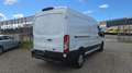 Ford Transit Transit Kasten 2,0 EcoBlue L3H2 350 Trend Weiß - thumbnail 4