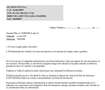 Lexus NX 300 300h Corporate 2WD Gris - thumbnail 23