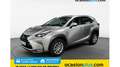 Lexus NX 300 300h Corporate 2WD Gris - thumbnail 1
