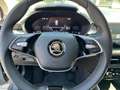 Skoda Fabia Top Selection 1.0TSI *KAM 2xEPH SH DAB APP Gris - thumbnail 13