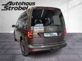 Volkswagen Caddy ALLTRACK 2.0 TDI DSG 4M Highline ACC AHK B Bruin - thumbnail 4