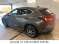 Lexus NX 450h Executive AWD Plug-In DigTacho 360Grad Gris - thumbnail 5
