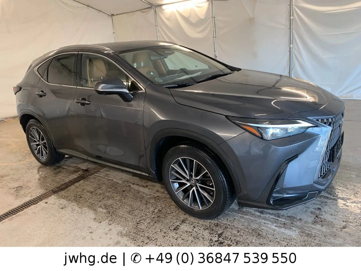 Lexus NX 450h Executive AWD Plug-In DigTacho 360Grad Gris - 2