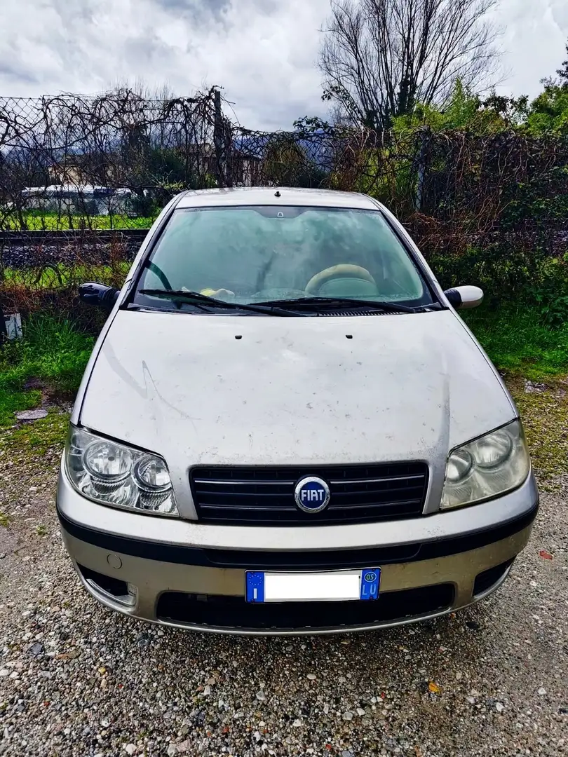 Fiat Punto 5p 1.2 Active - 2