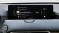 Mazda CX-60 2025 e-SKYACTIV D 254PS Homura COSO Grau - thumbnail 25