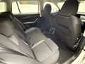 Skoda Octavia Ambition*AMBIENTE*LED*ACC*SITZHEIZUNG*GARANTIE* Weiß - thumbnail 19