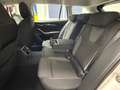 Skoda Octavia Ambition*AMBIENTE*LED*ACC*SITZHEIZUNG*GARANTIE* Weiß - thumbnail 17