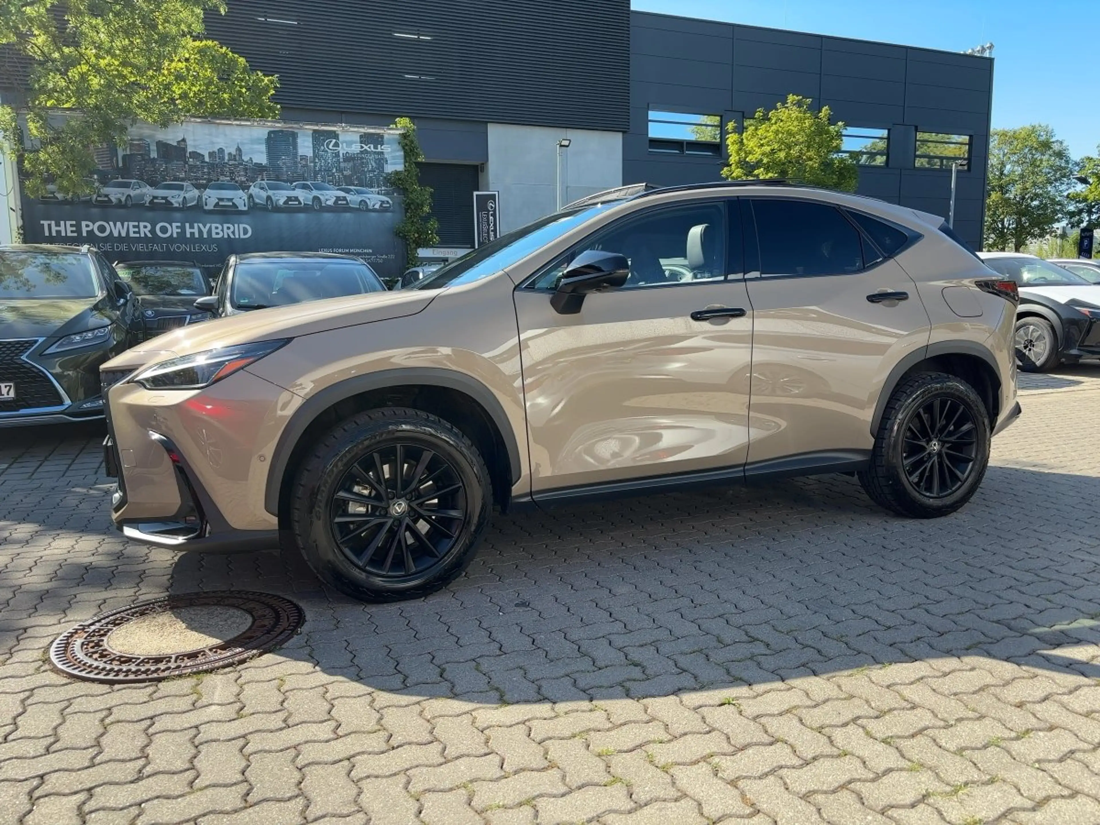 Lexus NX 350h 4x4 Overtrail — photo 2