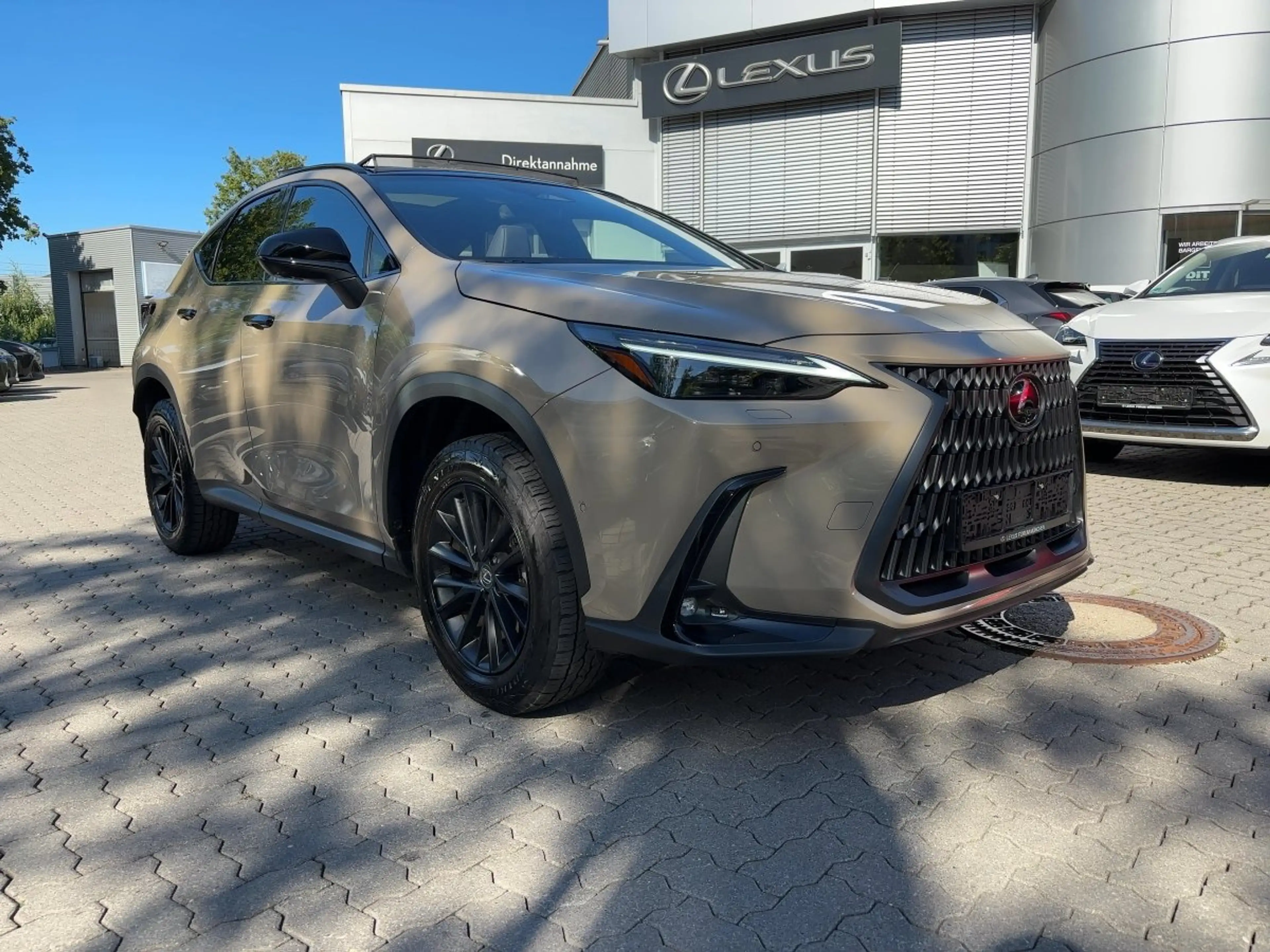 Lexus NX 350h 4x4 Overtrail — photo 5