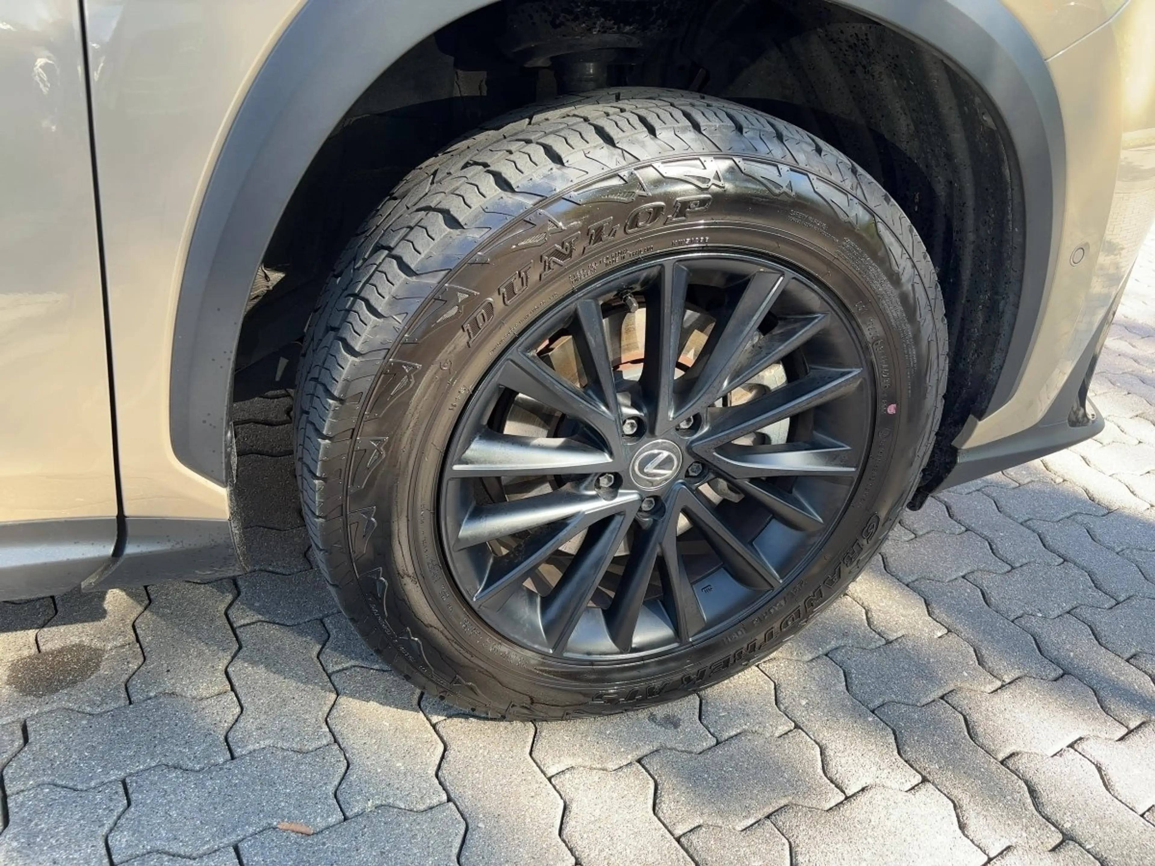 Lexus NX 350h 4x4 Overtrail — photo 6