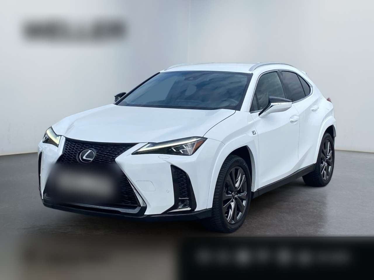 Lexus-UX 250h-(E-FOUR) F SPORT *Matrix*HUD*CAM*CarPlay*