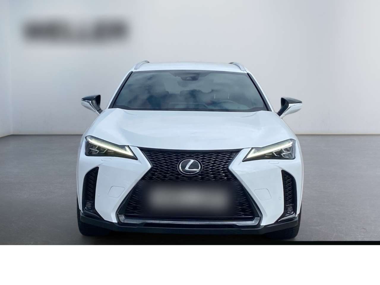 Lexus-UX 250h-(E-FOUR) F SPORT *Matrix*HUD*CAM*CarPlay*