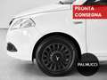 Lancia Ypsilon Ypsilon 1.2 69 CV 5 porte Elefantino - thumbnail 6
