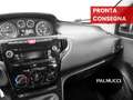 Lancia Ypsilon Ypsilon 1.2 69 CV 5 porte Elefantino - thumbnail 14
