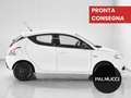 Lancia Ypsilon Ypsilon 1.2 69 CV 5 porte Elefantino - thumbnail 4