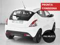 Lancia Ypsilon Ypsilon 1.2 69 CV 5 porte Elefantino - thumbnail 3