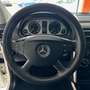 Mercedes-Benz B 180 B 180 cdi Chrome "OK NEO PATENTATI" Blanco - thumbnail 11
