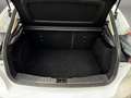 Ford Focus 1.5Ecoblue Trend Edition 120 Blanco - thumbnail 16
