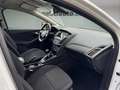 Ford Focus 1.5Ecoblue Trend Edition 120 Blanco - thumbnail 11