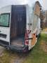 Renault Master Master L3H2 3,5t Bus Energy dCi 165 3-Sitzer Weiß - thumbnail 13
